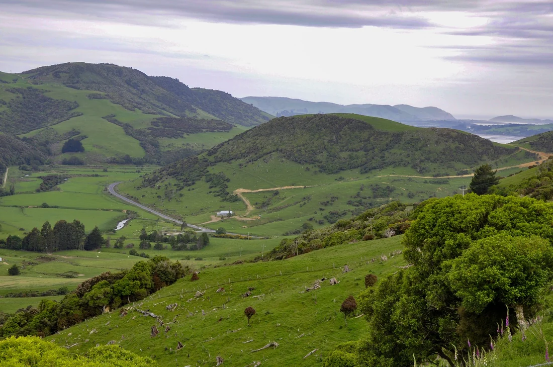 The Catlins countryside at its best.