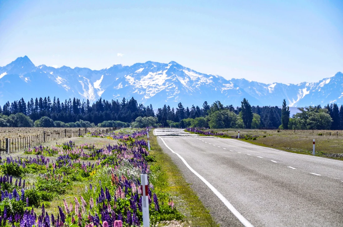 State Highway 8 delivered constantly changing scenery and superb roads.